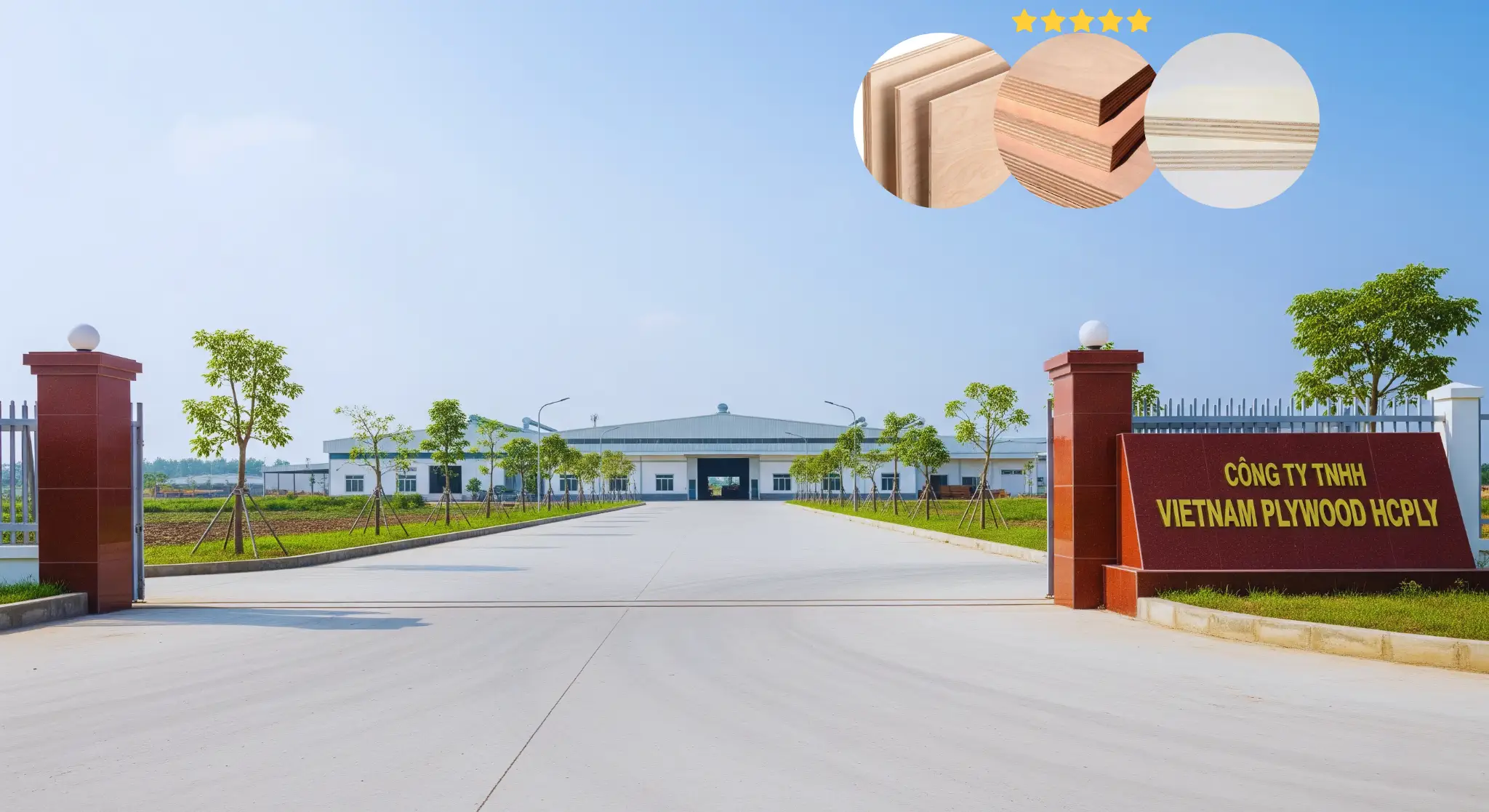 Vietnam Plywood Export Excellence